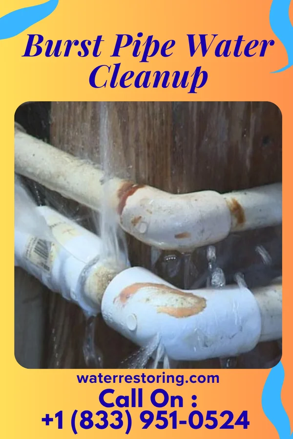 Burst Pipe Water Cleanup in Francesville, IN