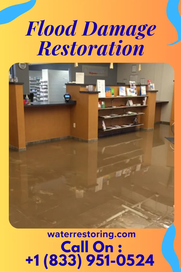 Flood Damage Restoration in Francesville, IN