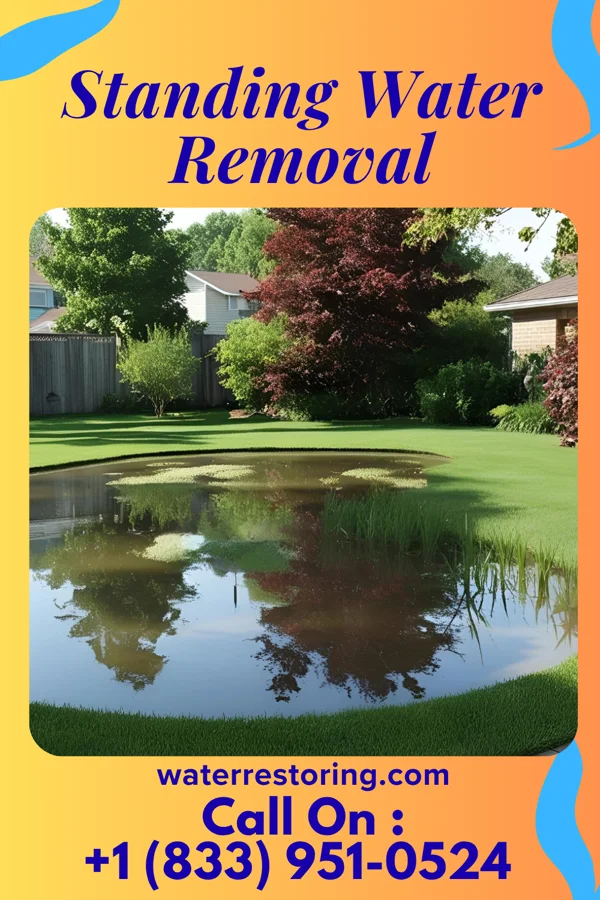 Standing Water Removal in Francesville, IN